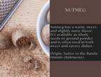 Ground Nutmeg